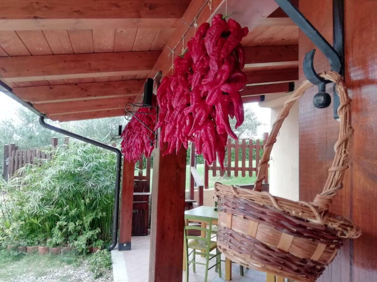 Le Chalet Del Pollino Rotonda Bagian luar foto