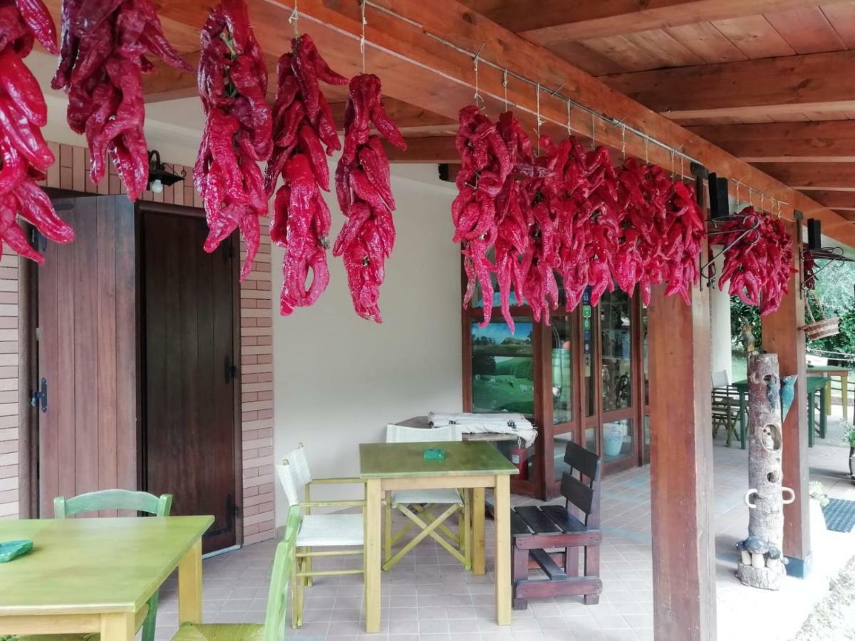 Le Chalet Del Pollino Rotonda Bagian luar foto